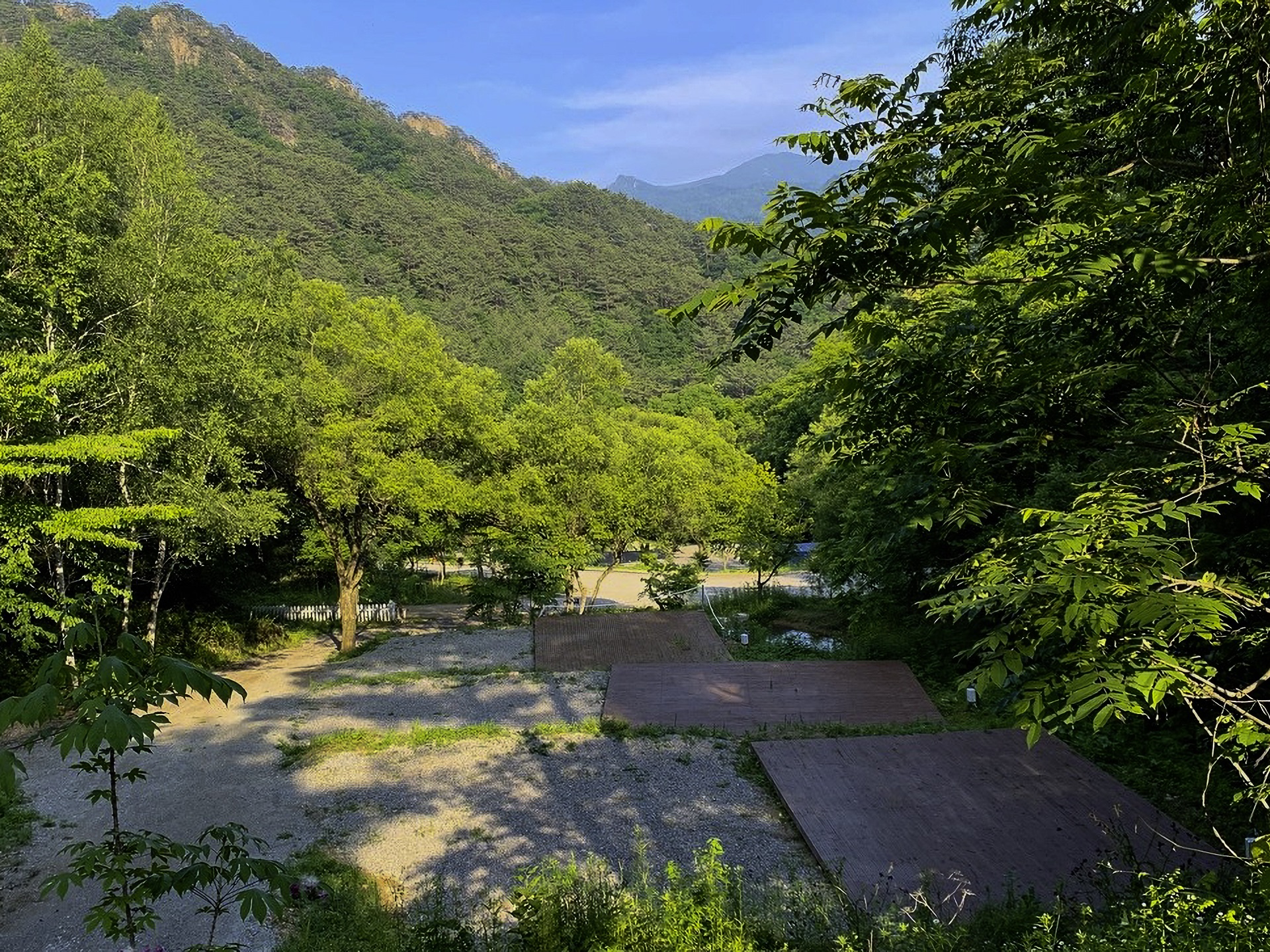 D구역 이미지