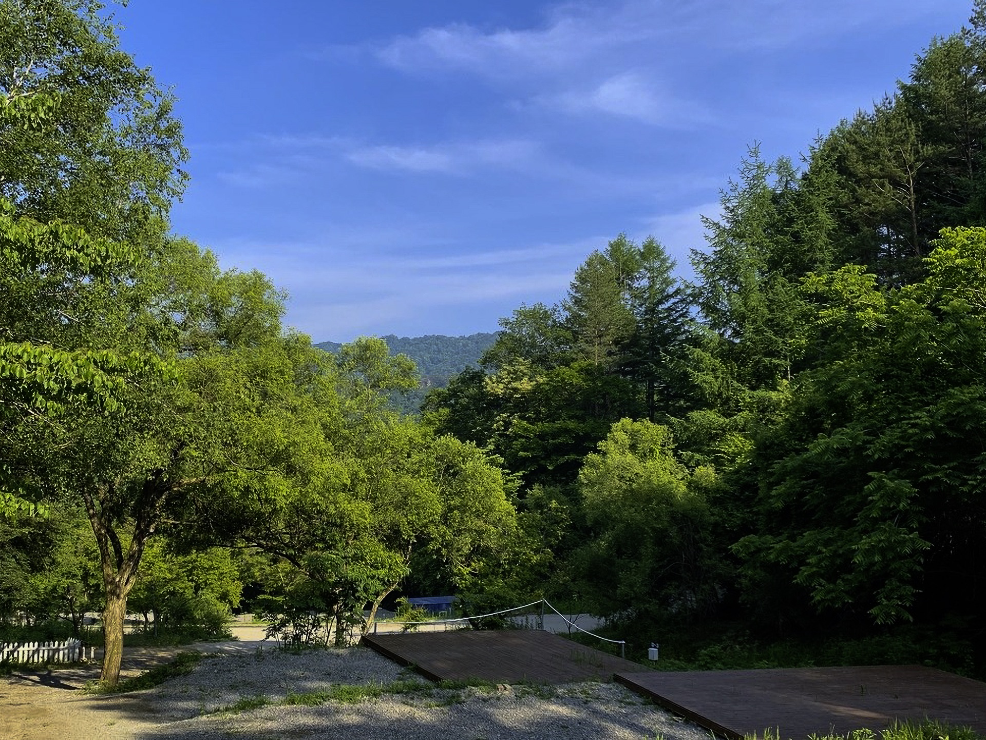 D구역 이미지 2