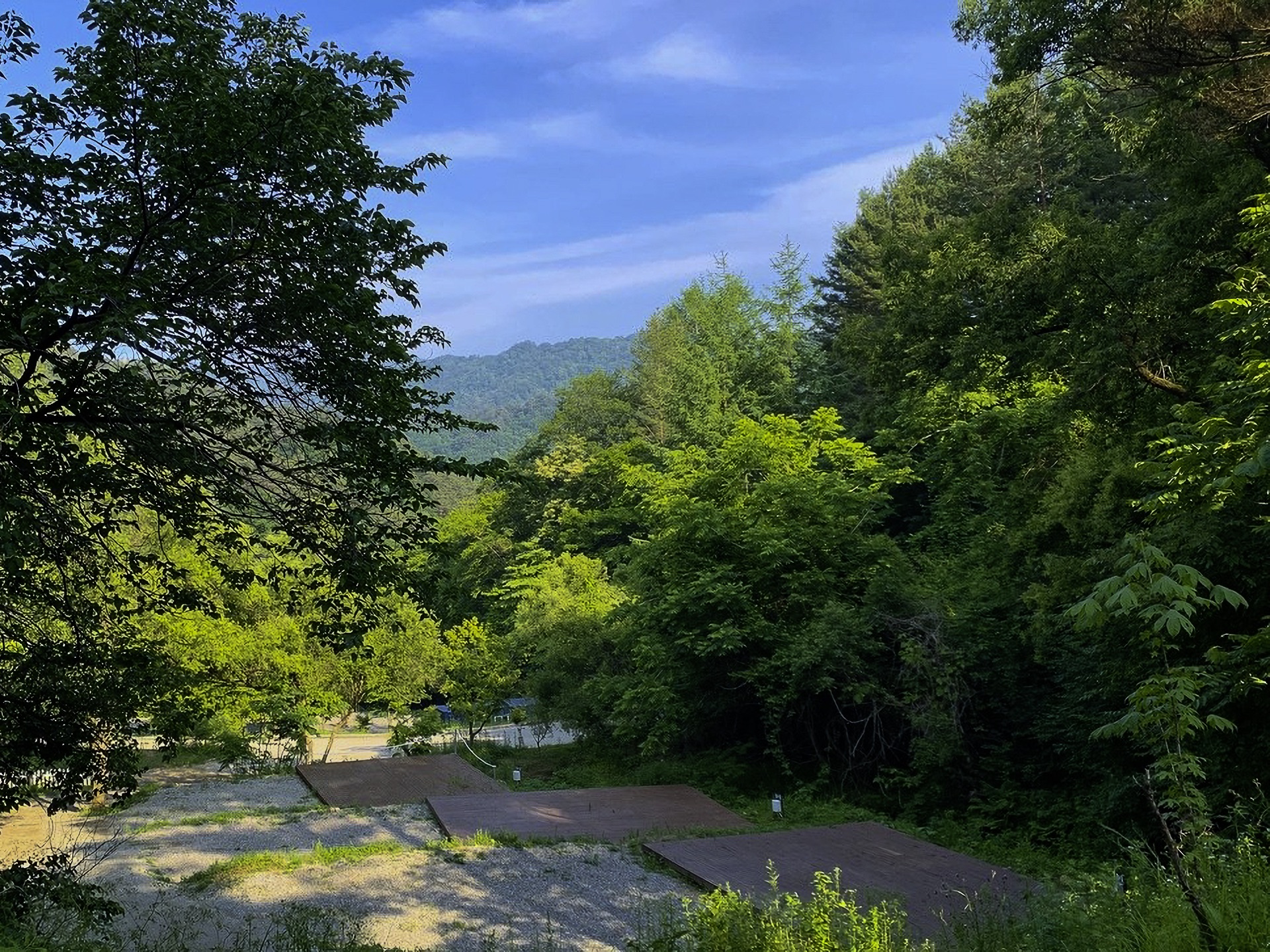 D구역 이미지 3