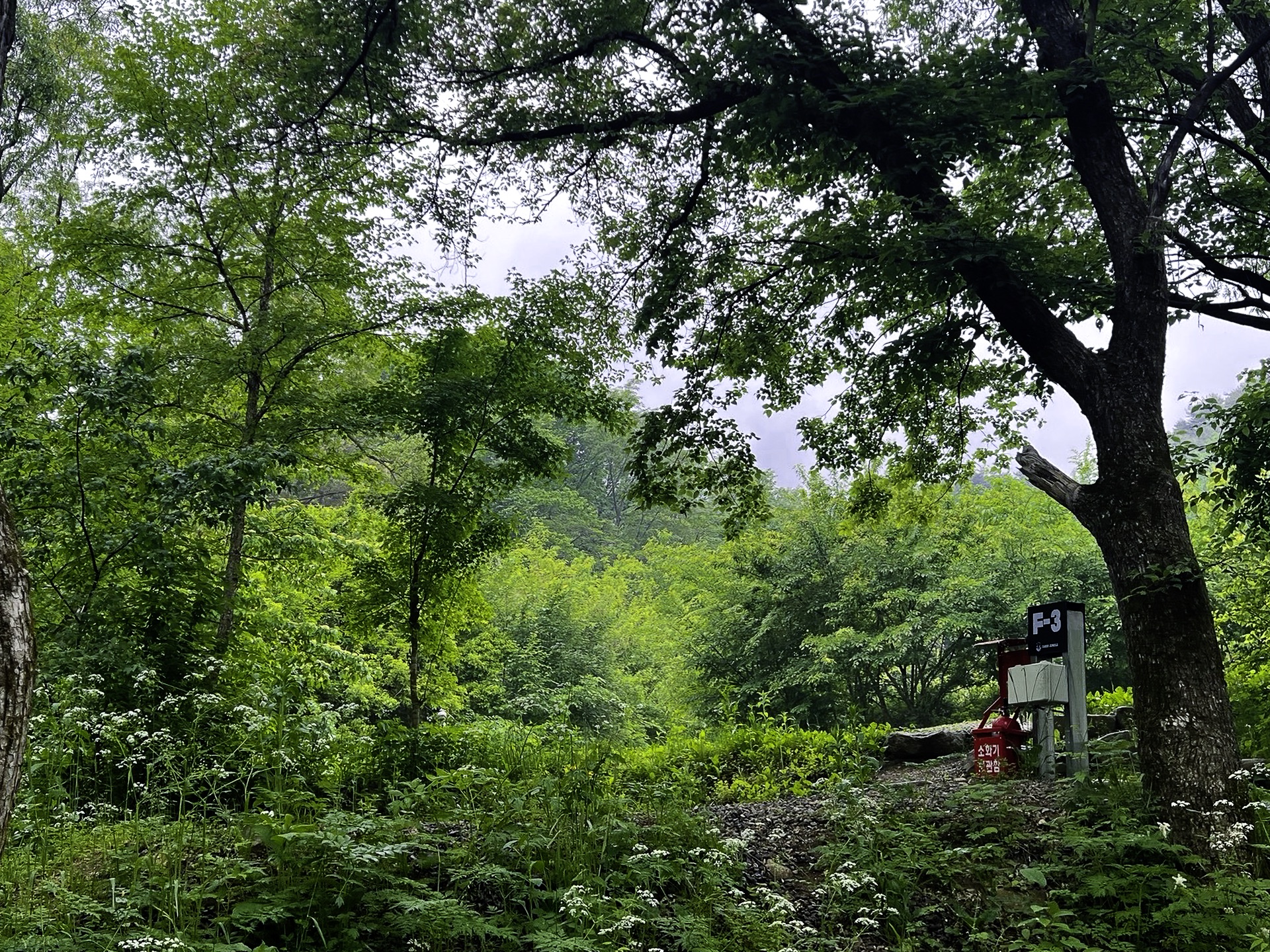 F구역 이미지