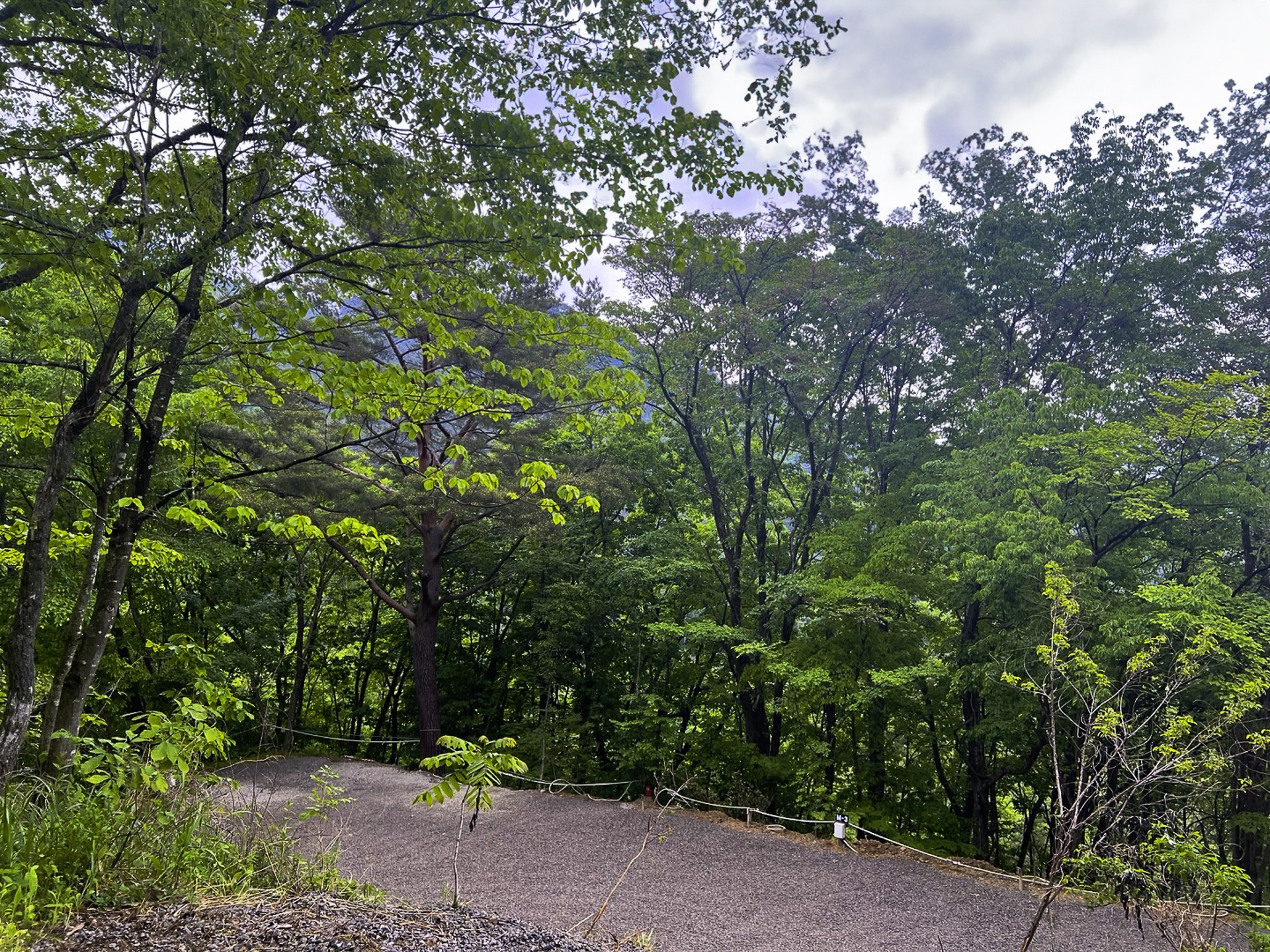M구역 이미지 2