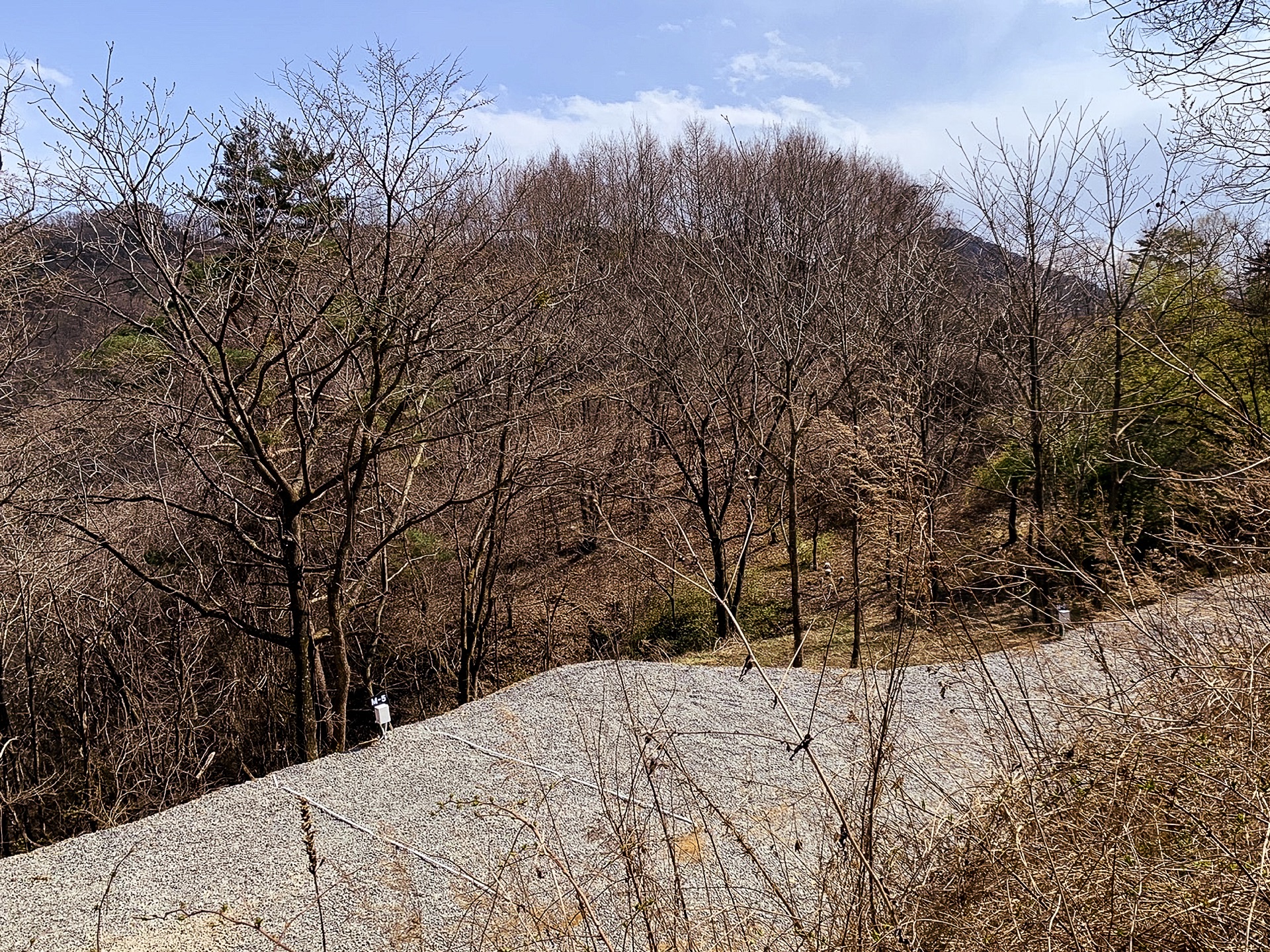 M구역 이미지 4